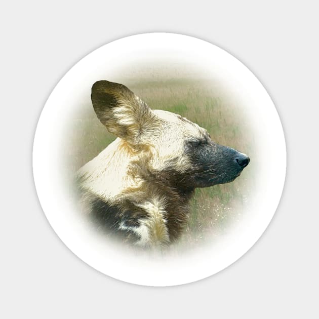 African wild dog Magnet by Guardi